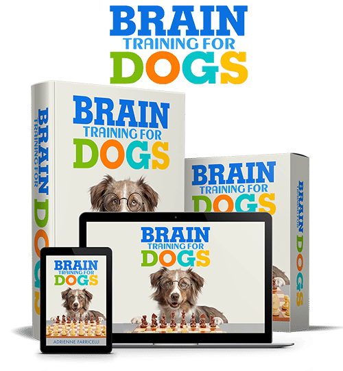 Brain Training For Dogs Adrienne Farricelli Reviews image